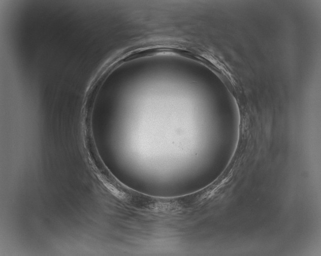 X0000071350101200606231214