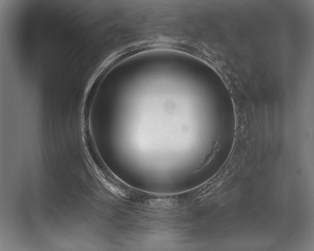 X0000071350102200606231214