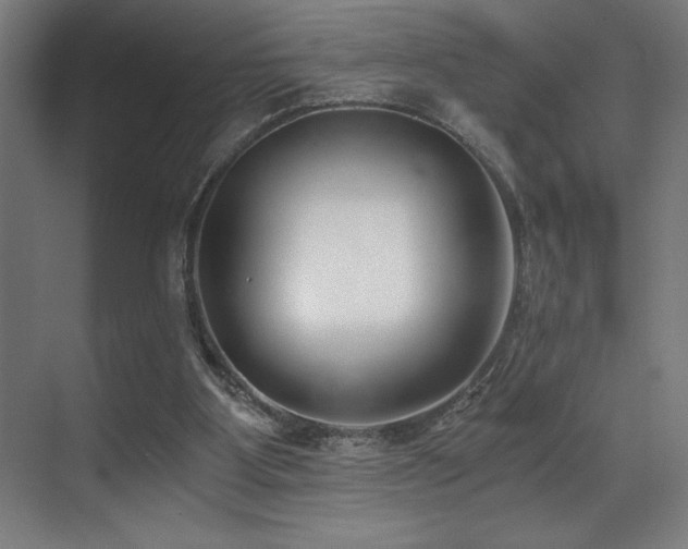X0000071350107200606231214