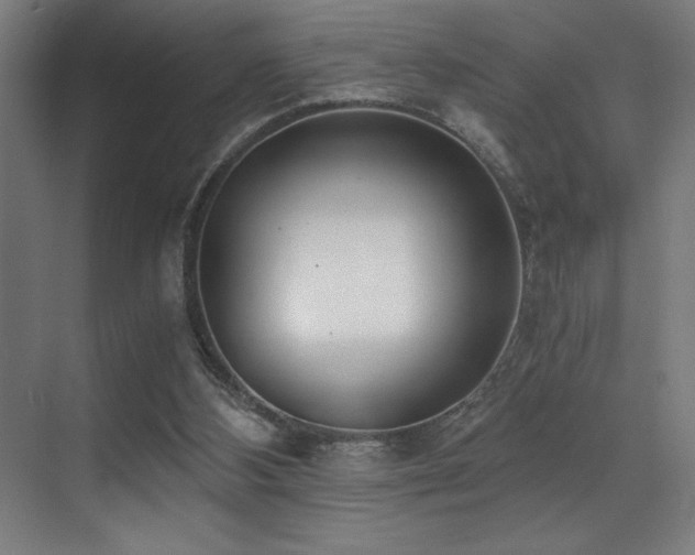 X0000071350108200606231214