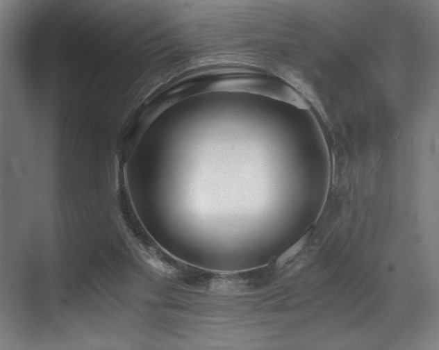 X0000071350109200606231214
