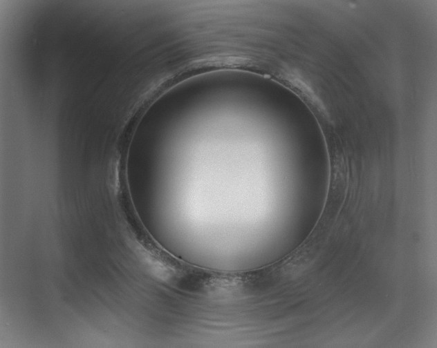 X0000071350110200606231214
