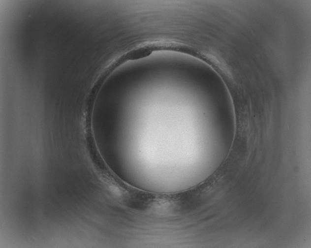 X0000071350111200606231214