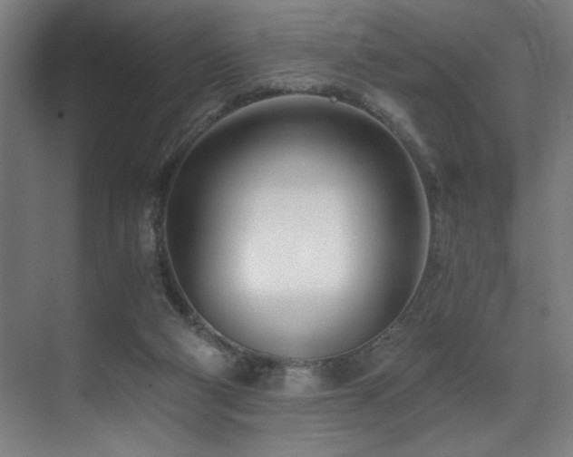 X0000071350114200606231214