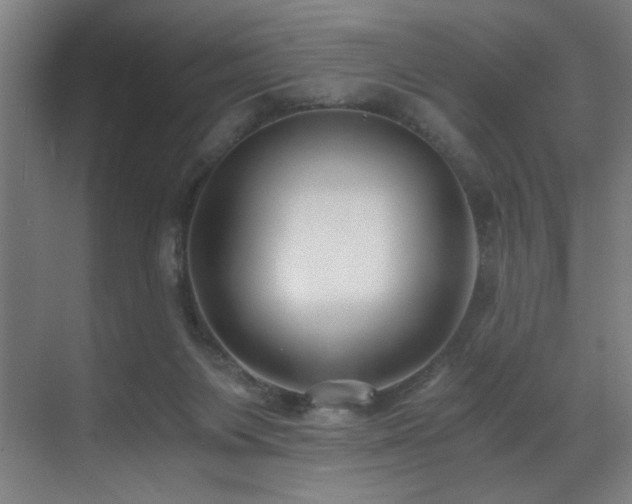 X0000071350119200606231214