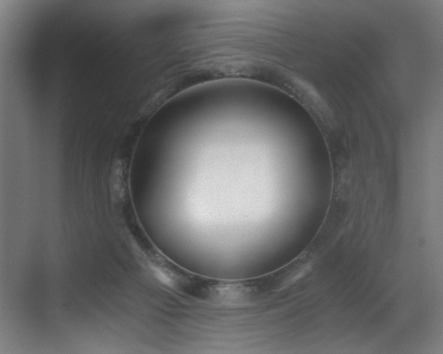 X0000071350121200606231214