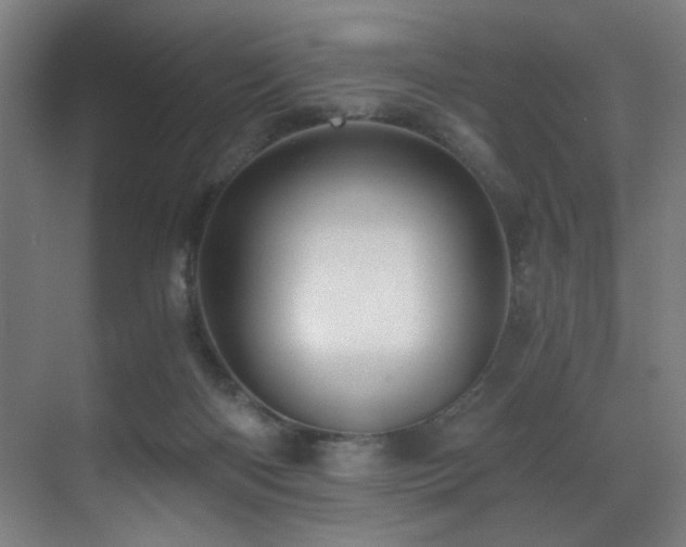 X0000071350122200606231214