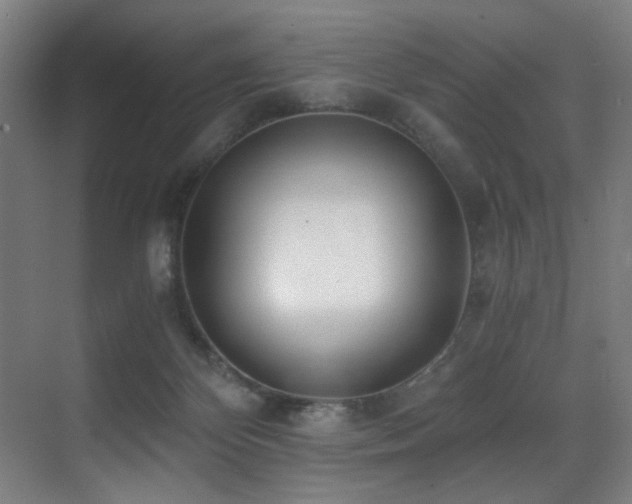 X0000071350124200606231214