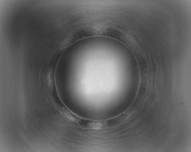 X0000071350131200606231214