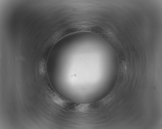 X0000071350138200606231214