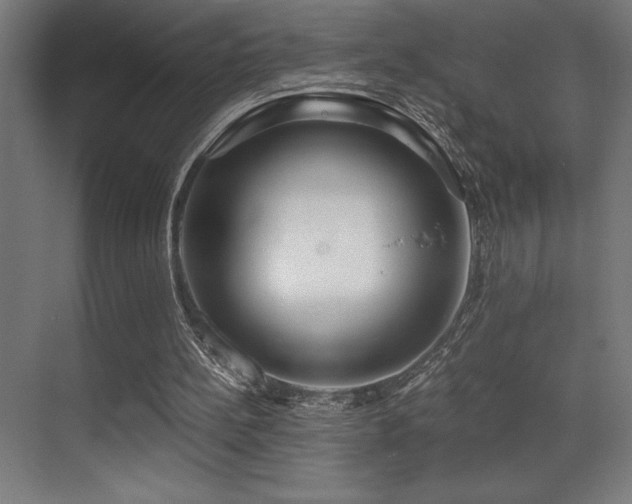 X0000071350148200606231213