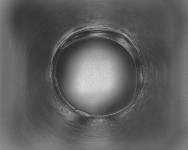 X0000071350152200606231213