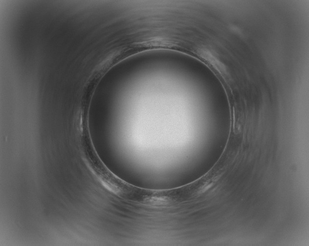 X0000071350157200606231213