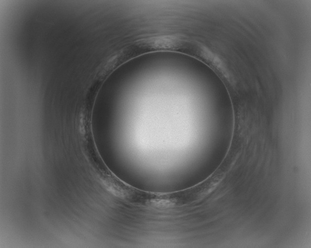 X0000071350161200606231213