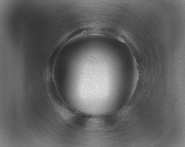 X0000071350164200606231213