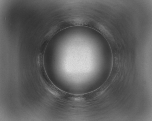 X0000071350165200606231213