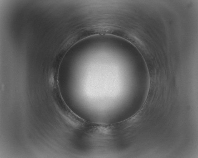 X0000071350166200606231213