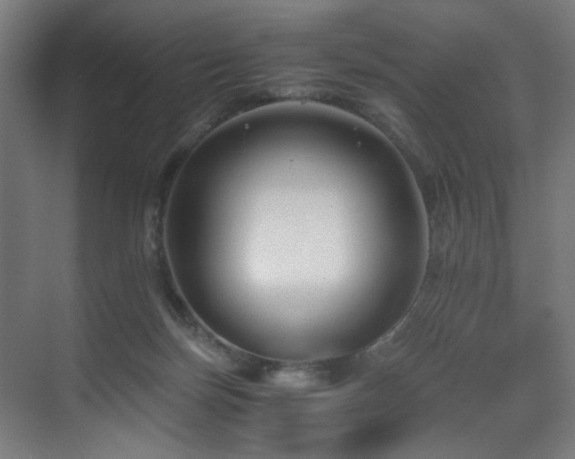 X0000071350171200606231213
