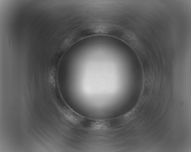 X0000071350175200606231213