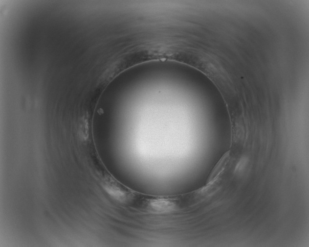 X0000071350183200606231214