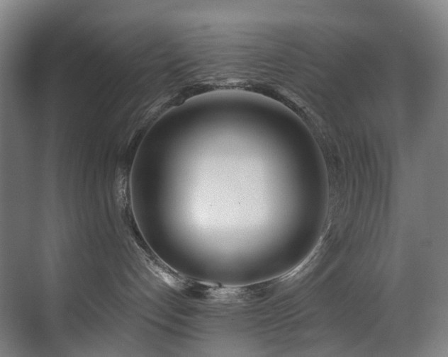 X0000071350192200606231214