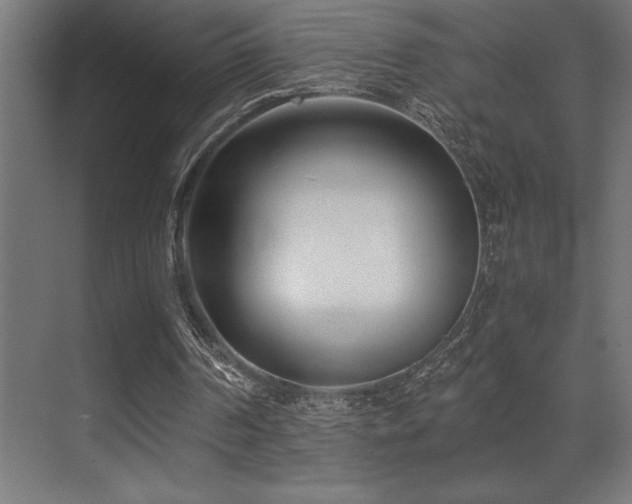 X0000071350194200606231213