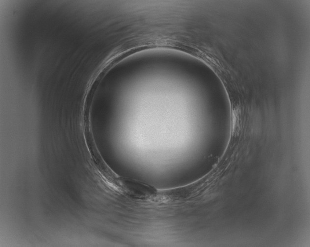 X0000071350195200606231213