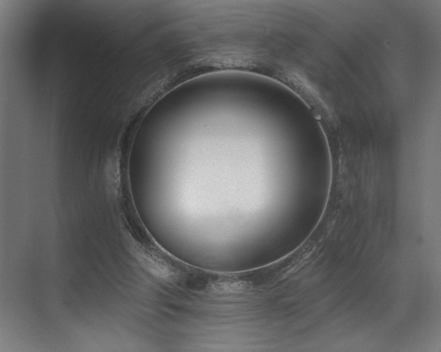 X0000071350202200606231213