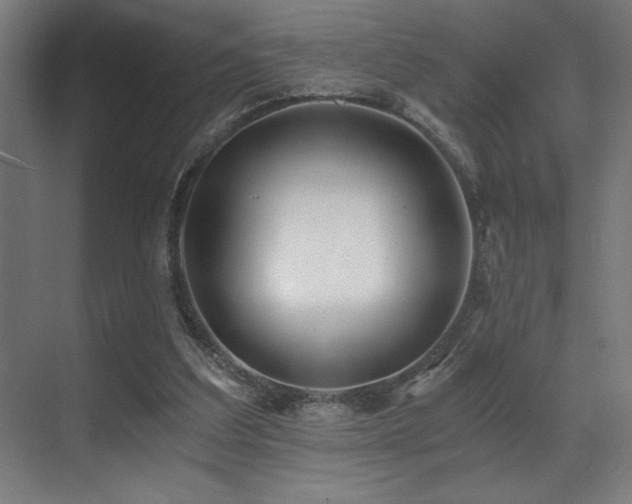 X0000071350203200606231213
