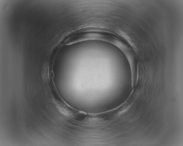 X0000071350205200606231213