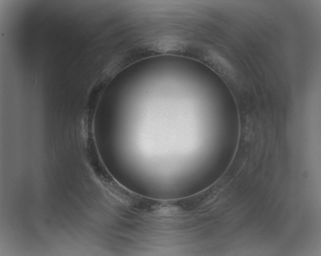X0000071350210200606231213