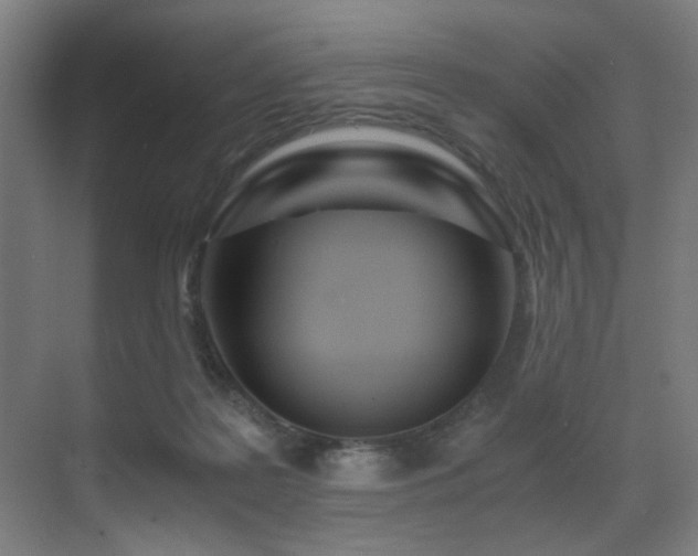 X0000071350219200606231212