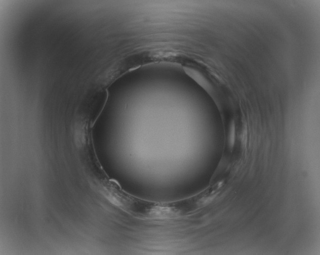 X0000071350227200606231212