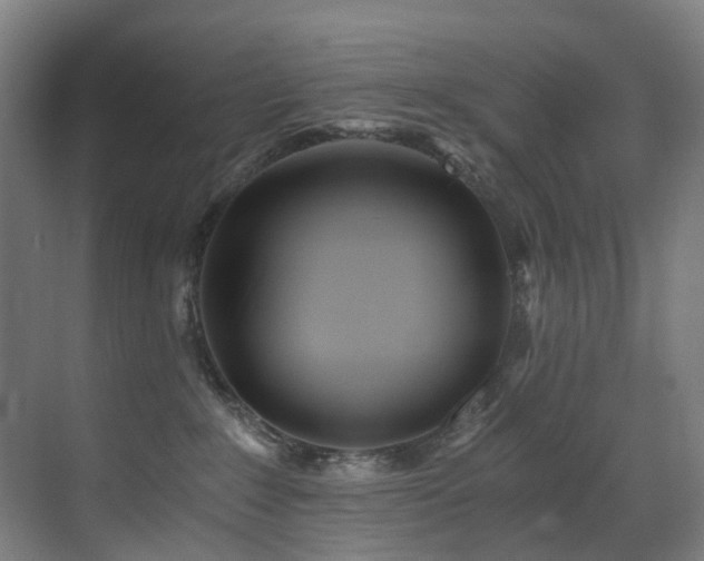 X0000071350235200606231212