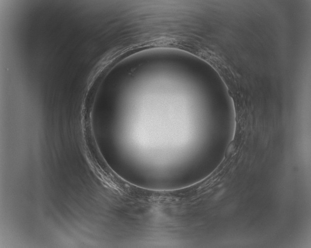 X0000071350242200606231211