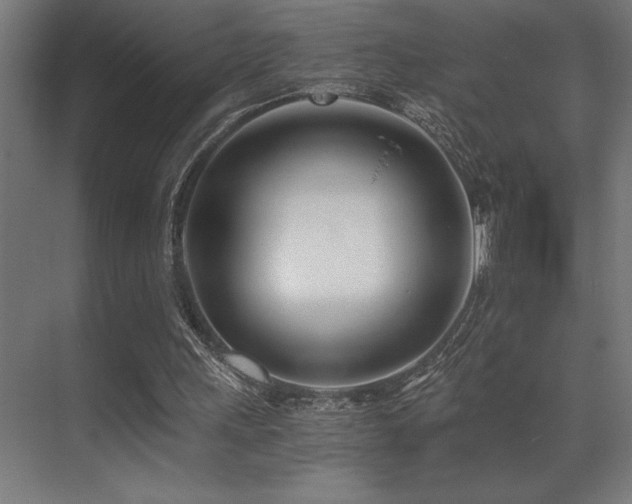 X0000071350243200606231211