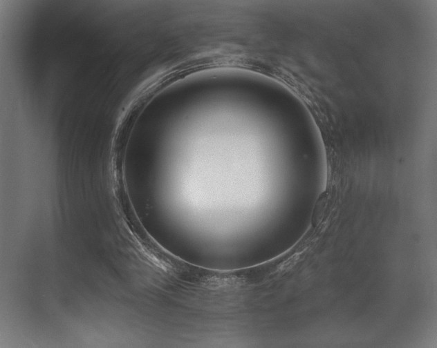 X0000071350245200606231211