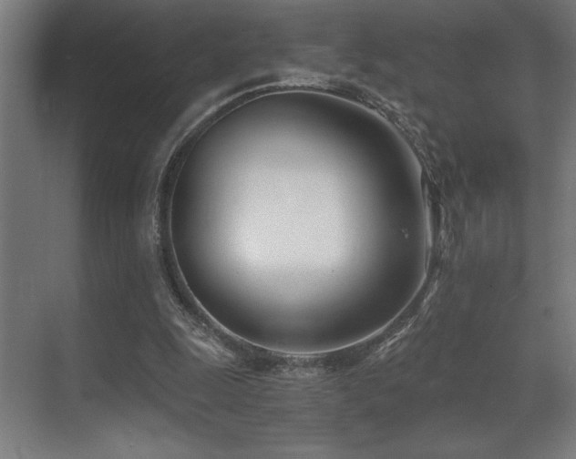 X0000071350247200606231211