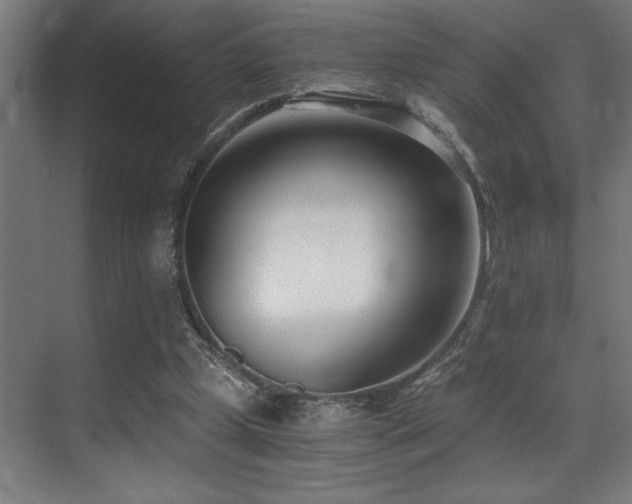 X0000071350249200606231211