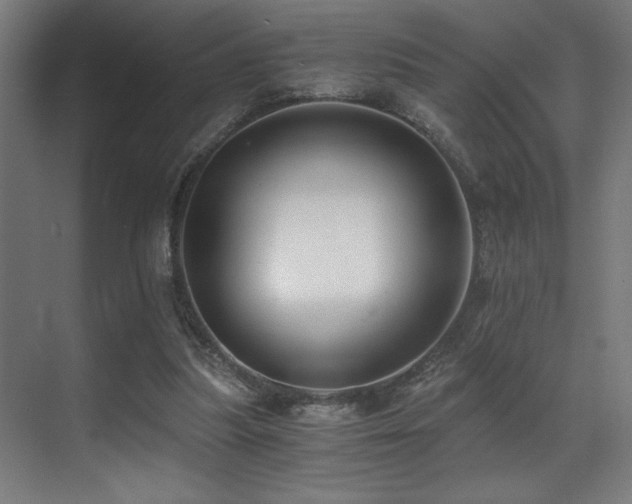 X0000071350251200606231211