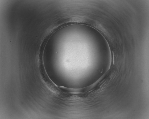 X0000071350252200606231211