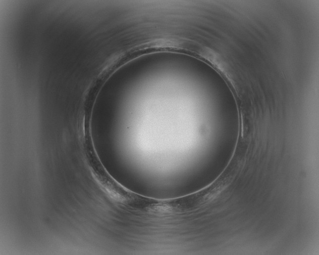 X0000071350253200606231211