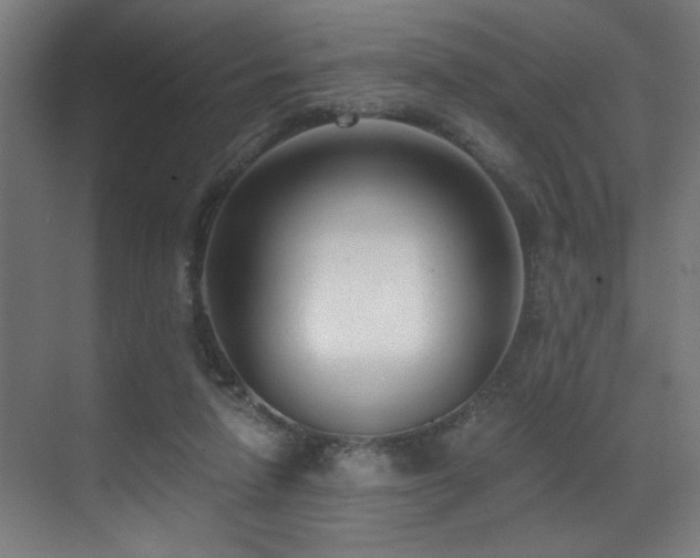X0000071350258200606231212