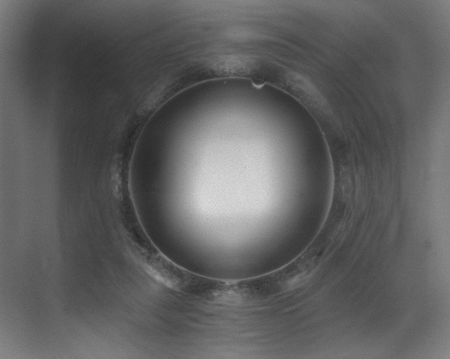 X0000071350259200606231212