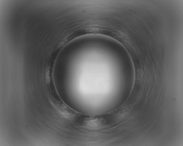 X0000071350267200606231212