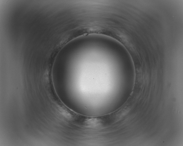 X0000071350269200606231212