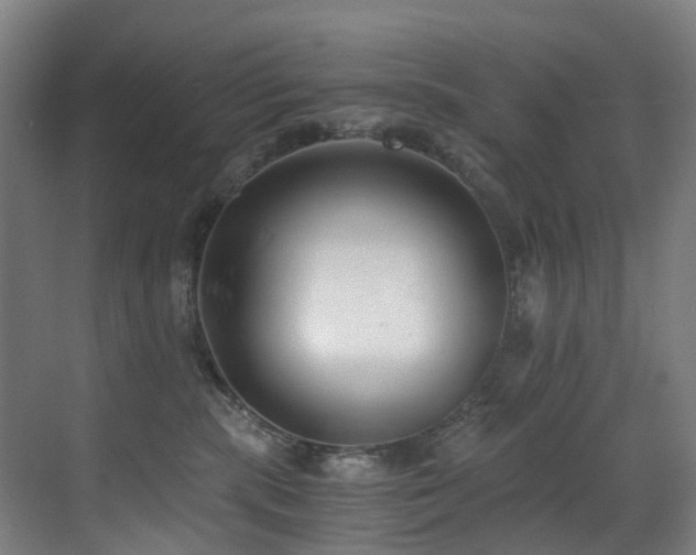 X0000071350283200606231212