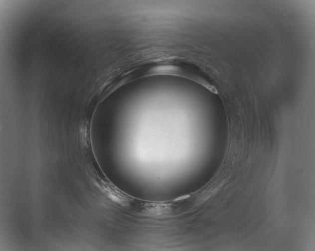 X0000071350288200606231212