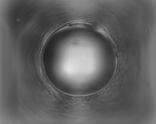 X0000071350289200606231211