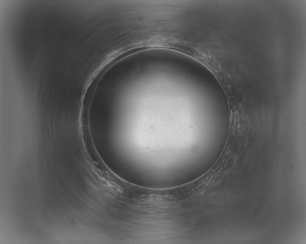 X0000071350292200606231211